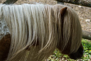 DSC08462-2.jpg DSC08462-2.jpg