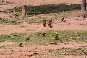 DSC_0002 (800x533) (640x426).jpg