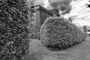 comp__DSC5023 sw1.jpg