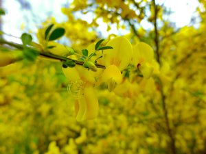 P1040003 Kopie Kopie.jpg