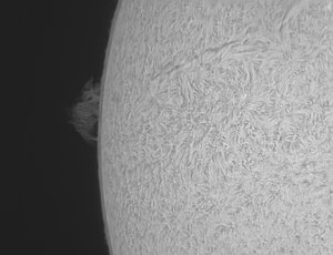 sonne26042014 (2).jpg