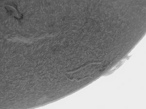 sonne26042014 (7).jpg