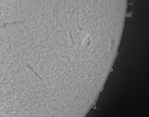 sonne26042014 (3).jpg