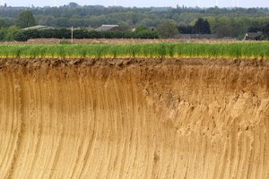 BF_SDIM5950 Kopie.jpg BF_SDIM5950 Kopie.jpg