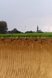 BF_SDIM5915 Kopie.jpg BF_SDIM5915 Kopie.jpg