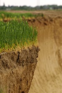 BF_SDIM5955 Kopie.jpg BF_SDIM5955 Kopie.jpg