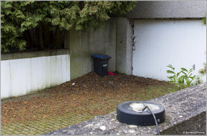 Bor_Muelltonne_1040.jpg Bor_Muelltonne_1040.jpg