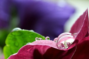 comp_comp_DSC_2739 Kopie.jpg