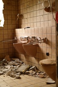 BF_SDIM5979 Kopie.jpg