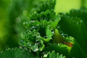 DSC_6821_ji_c.jpg DSC_6821_ji_c.jpg