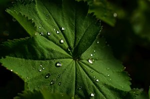 DSC_6822_ji_c.jpg DSC_6822_ji_c.jpg