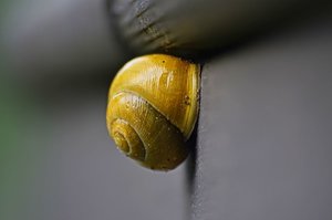 DSC_6902_ji_c.jpg DSC_6902_ji_c.jpg