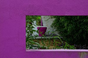 DSC_6995_ji_c.jpg DSC_6995_ji_c.jpg