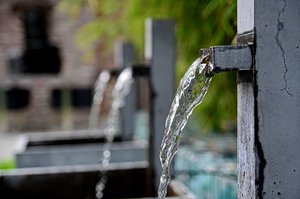 DSC_7151_ji_c.jpg DSC_7151_ji_c.jpg