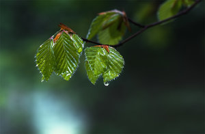 20140430-037 bearb..jpg