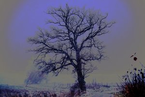 Bild 2.jpg Bild 2.jpg