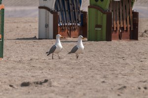 comp__DSC5173.jpg comp__DSC5173.jpg