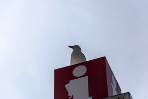 comp__DSC0762.jpg comp__DSC0762.jpg