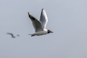 comp__DSC5769.jpg comp__DSC5769.jpg