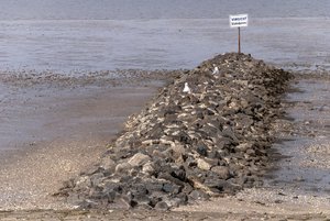 comp__DSC0733.jpg comp__DSC0733.jpg