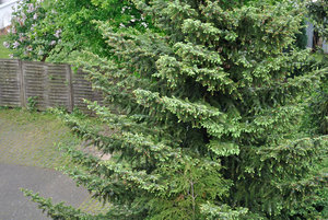 DSC_0008.JPG DSC_0008.JPG