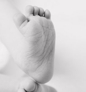 kleines Wunder02.jpg