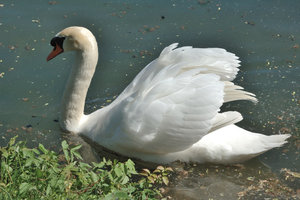 DSC_1216.JPG DSC_1216.JPG