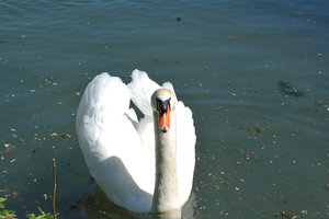 DSC_1217.JPG DSC_1217.JPG