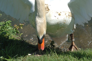 DSC_1220.JPG DSC_1220.JPG