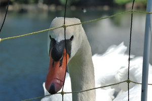 DSC_1225.JPG DSC_1225.JPG