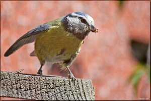 Bild - 1.jpg Bild - 1.jpg