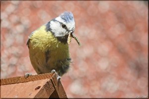 Bild - 2.jpg Bild - 2.jpg