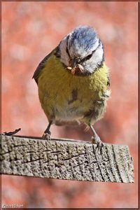 Bild - 4.jpg Bild - 4.jpg