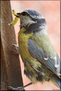 Bild - 5.jpg Bild - 5.jpg