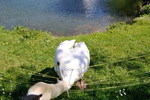 DSC_0042.JPG DSC_0042.JPG