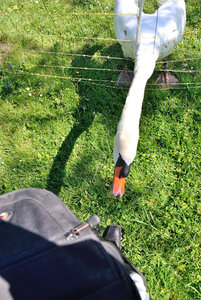 DSC_0047.JPG DSC_0047.JPG