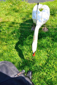 DSC_0046.JPG DSC_0046.JPG