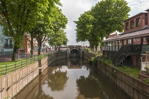 comp__DSC5341.jpg comp__DSC5341.jpg