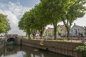 comp__DSC5348.jpg comp__DSC5348.jpg