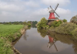 comp__DSC5335.jpg comp__DSC5335.jpg