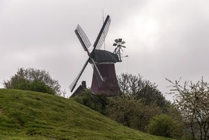 comp__DSC0984.jpg comp__DSC0984.jpg