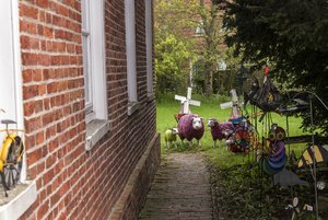 comp__DSC0990.jpg comp__DSC0990.jpg