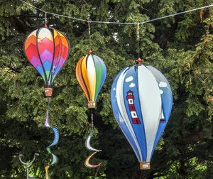 comp__DSC0989.jpg comp__DSC0989.jpg