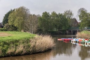 comp__DSC1003.jpg comp__DSC1003.jpg