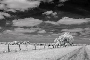 comp__SDI2433.jpg comp__SDI2433.jpg