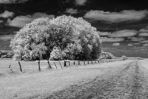 comp__SDI2436.jpg comp__SDI2436.jpg