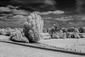 comp__SDI2442.jpg comp__SDI2442.jpg