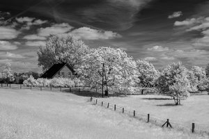 comp__SDI2448.jpg comp__SDI2448.jpg