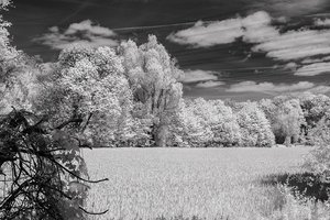 comp__SDI2480.jpg comp__SDI2480.jpg