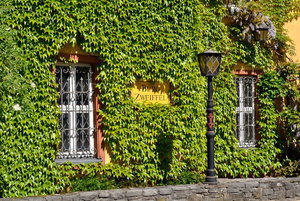 DSC_0034.JPG DSC_0034.JPG